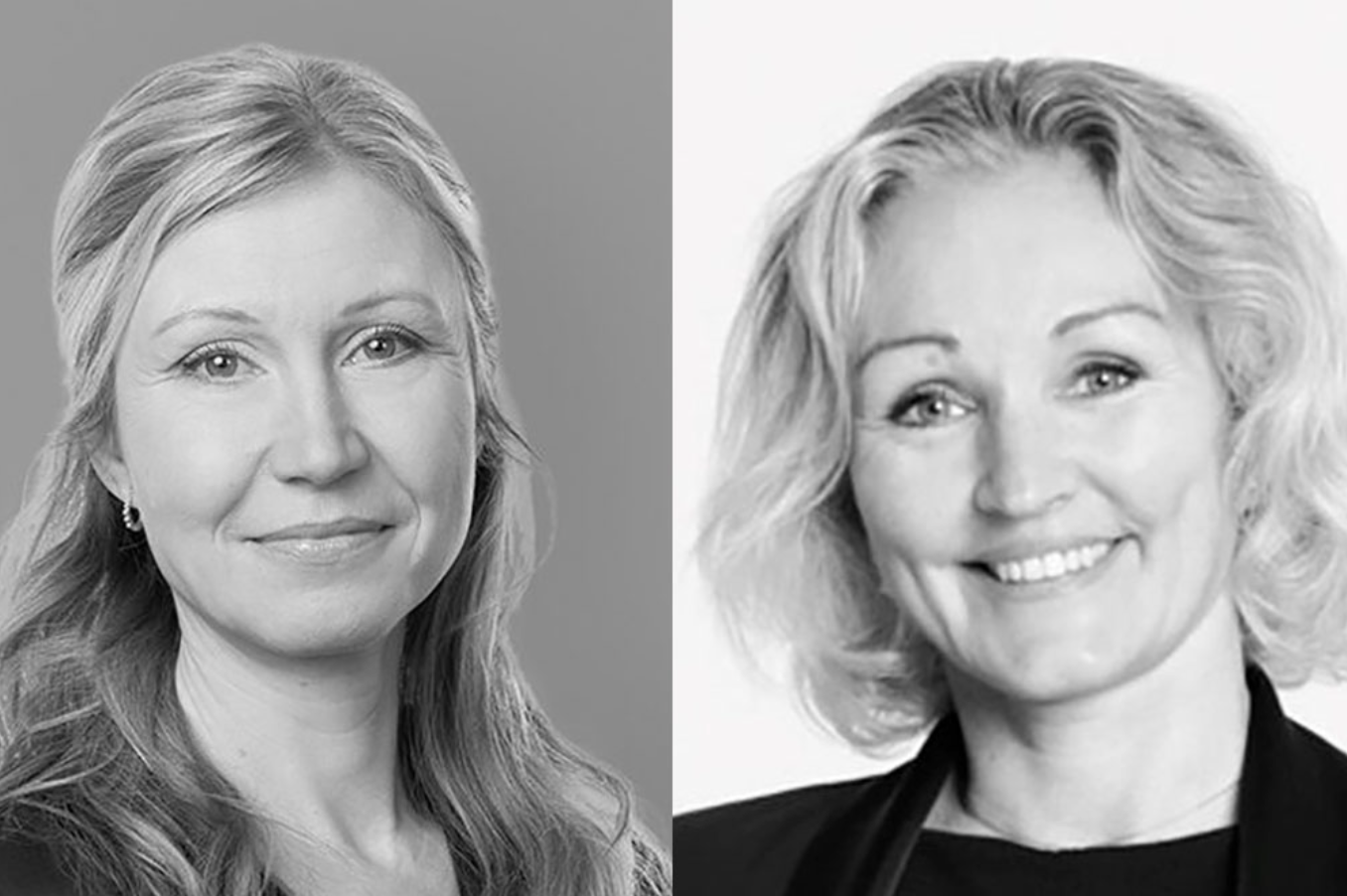 Article preview for Women in Life Science Denmark
